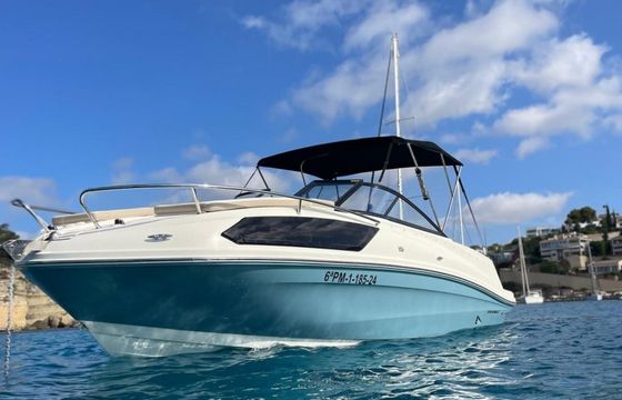 Bayliner VR6 OB