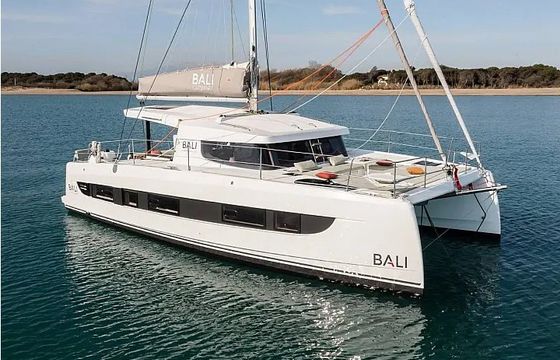 Bali Catsmart