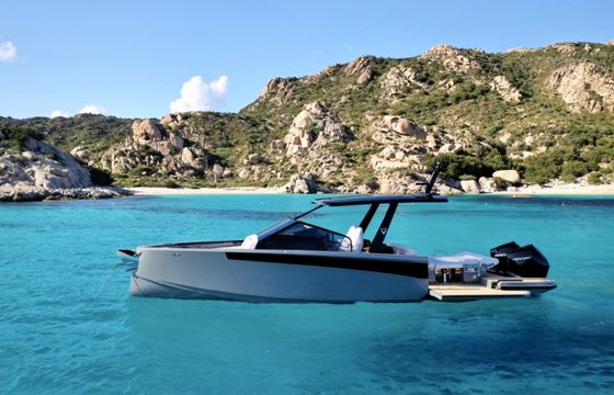 Virtue V10Top