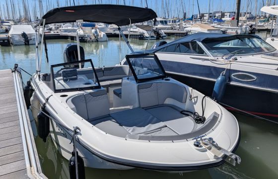 Bayliner Element