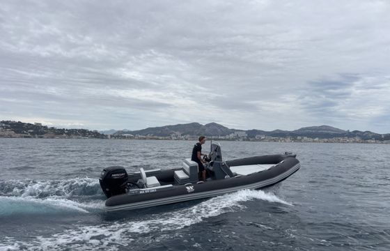 Tiger Marine 650