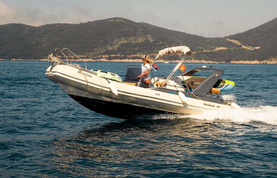 Shark 23