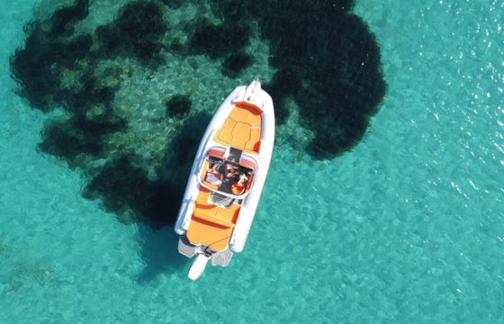 Marlin Boat 24SR