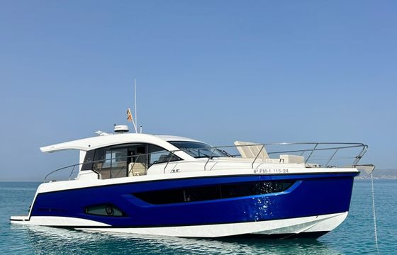 Sealine C 39