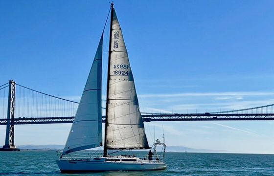 Santa Cruz 50