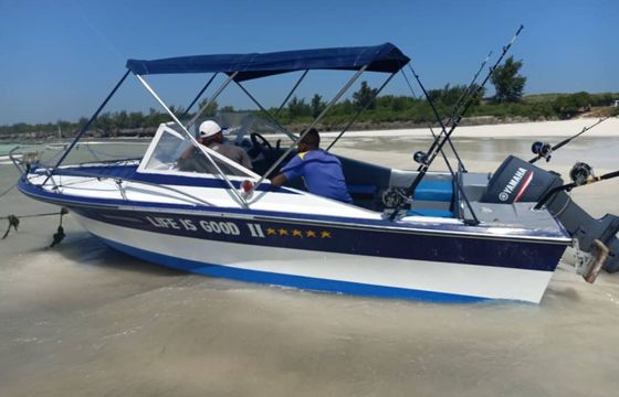 Chris Craft Calypso 26