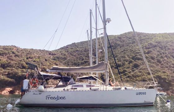 Delphia 40