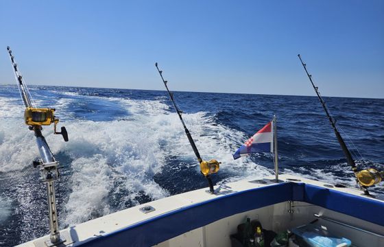 Luhrs 27 Fishing