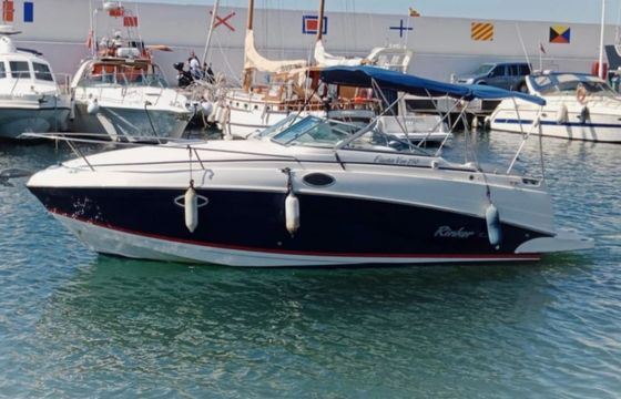 Rinker Fiesta Vee 250