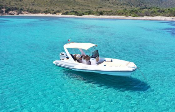 Salpa Soleil 26