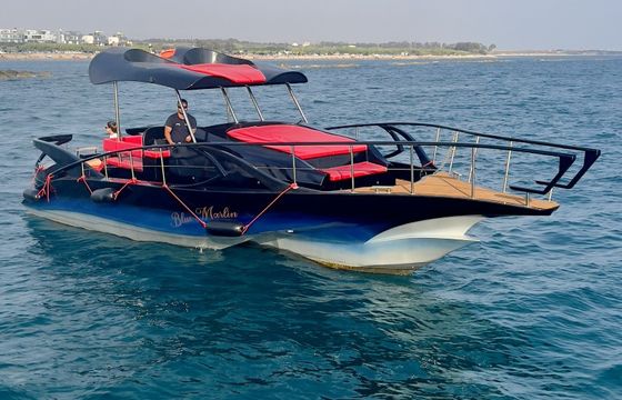 Custom Made Trimaran