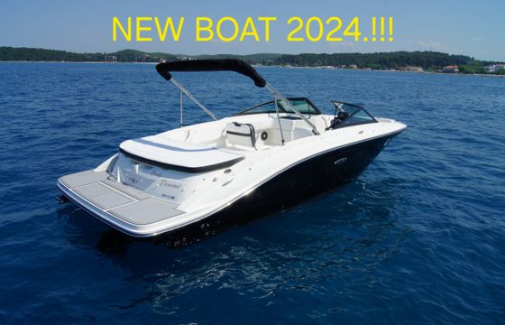 Sea Ray SPX 210