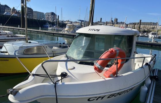 Quicksilver 620 Timonier
