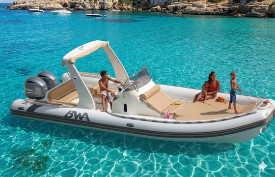 Bwa America 850