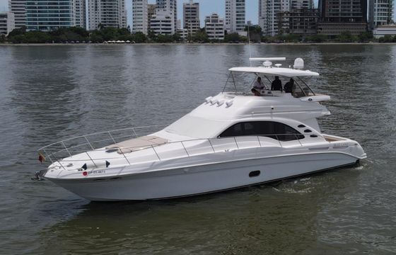 Sea Ray 58