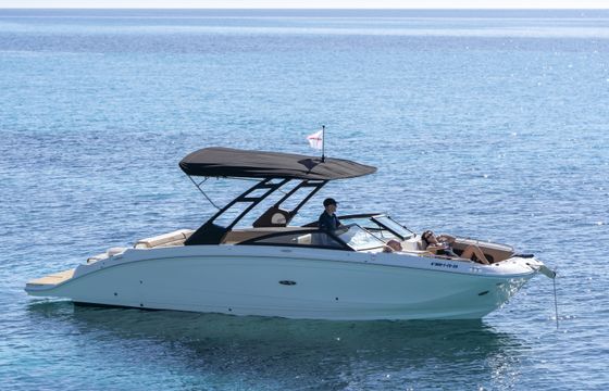 Sea Ray SDX 290