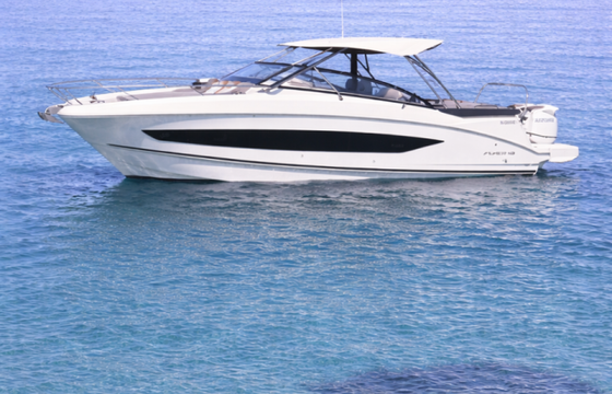 Bénéteau Flyer 10
