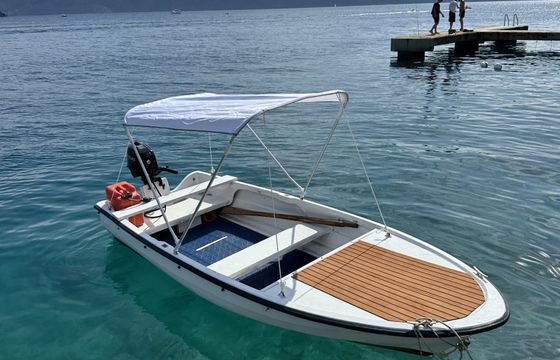 Elan 401