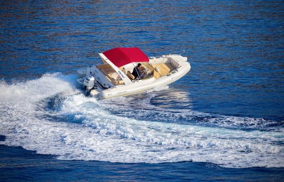 Inmark-Marine Aquamax BF-23F