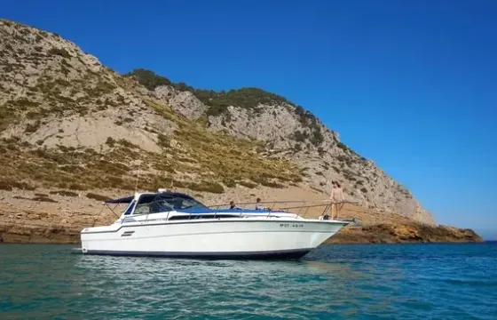 Sea Ray 460