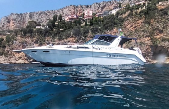 Sea Ray 350 Sundancer