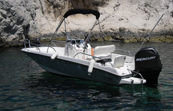 Boston Whaler 170 Dauntless