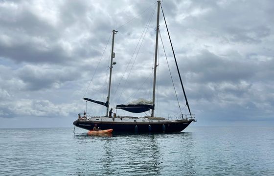 Mauritius 44