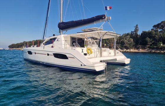 Leopard 44