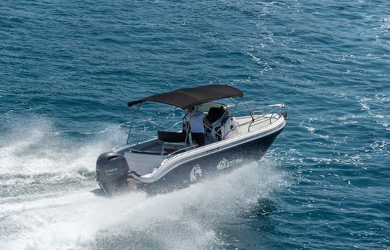 Ranieri Shadow 22