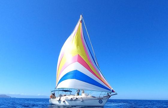 Dromor Apollo 12 Plus
