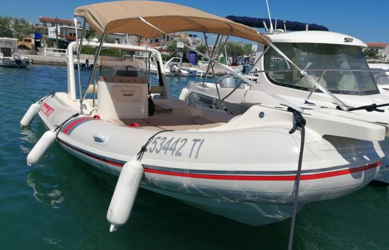 Barracuda 530