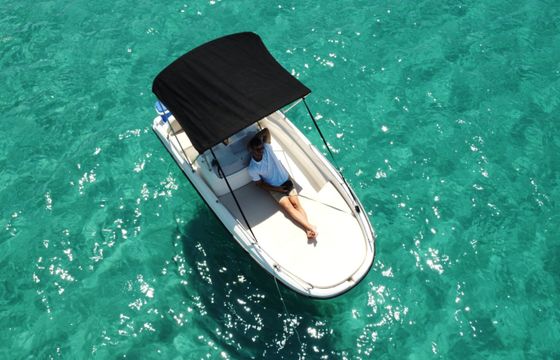 Remus 450