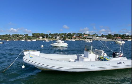 Sacs S 25 Dream