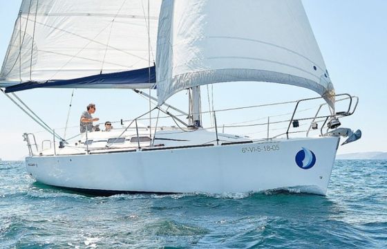 Elan 31 Performance