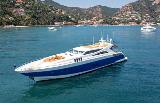 Leopard 34