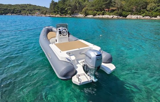 Nautilus 19