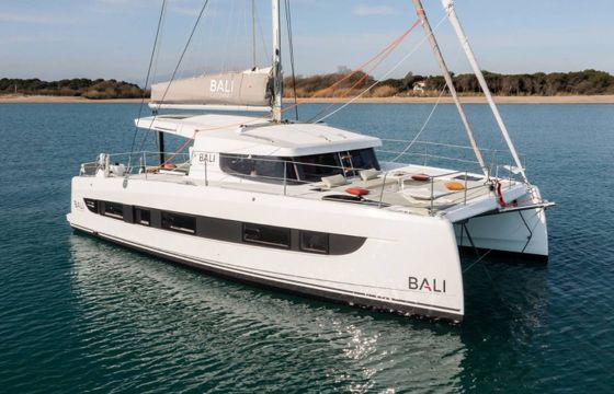 Bali Catsmart