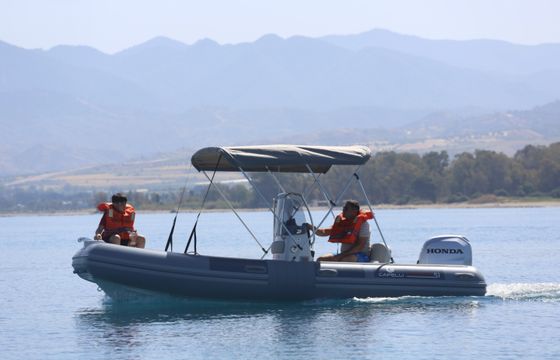 Tempest Apnea 510