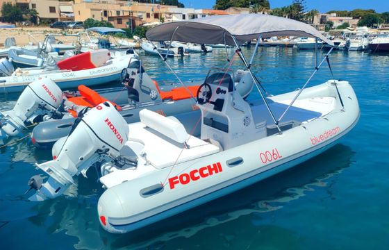 Focchi Family 570