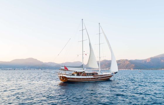 Custom S Nur Taylan