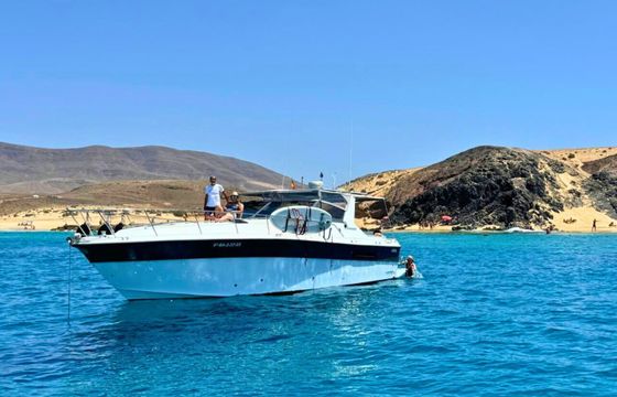 Sea Ray 390 Express Cruiser