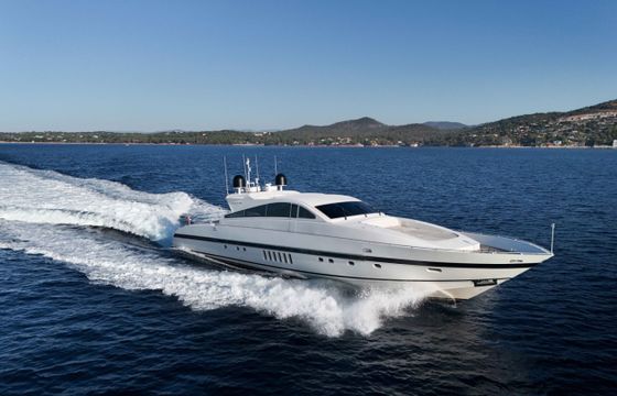 Leopard Léopard 27