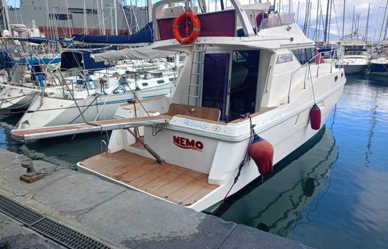 Azimut Az 34