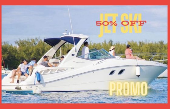Sea Ray 310