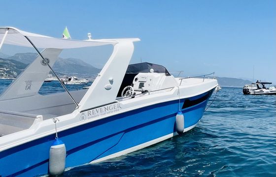 Revenger HYBRID 24.10 WA