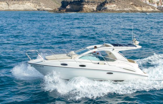 Sealine 290