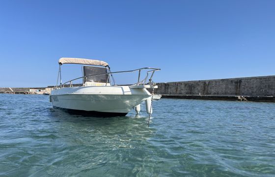 Salpa Soleil 20