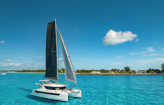 Leopard Catamarans / Robertson & Caine Leopard 46 - 5 cab.