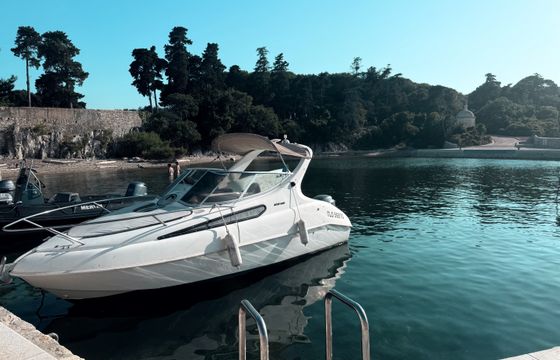 Salpa Laver 20.5