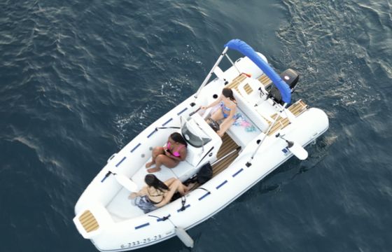 Tiger 480 sportline